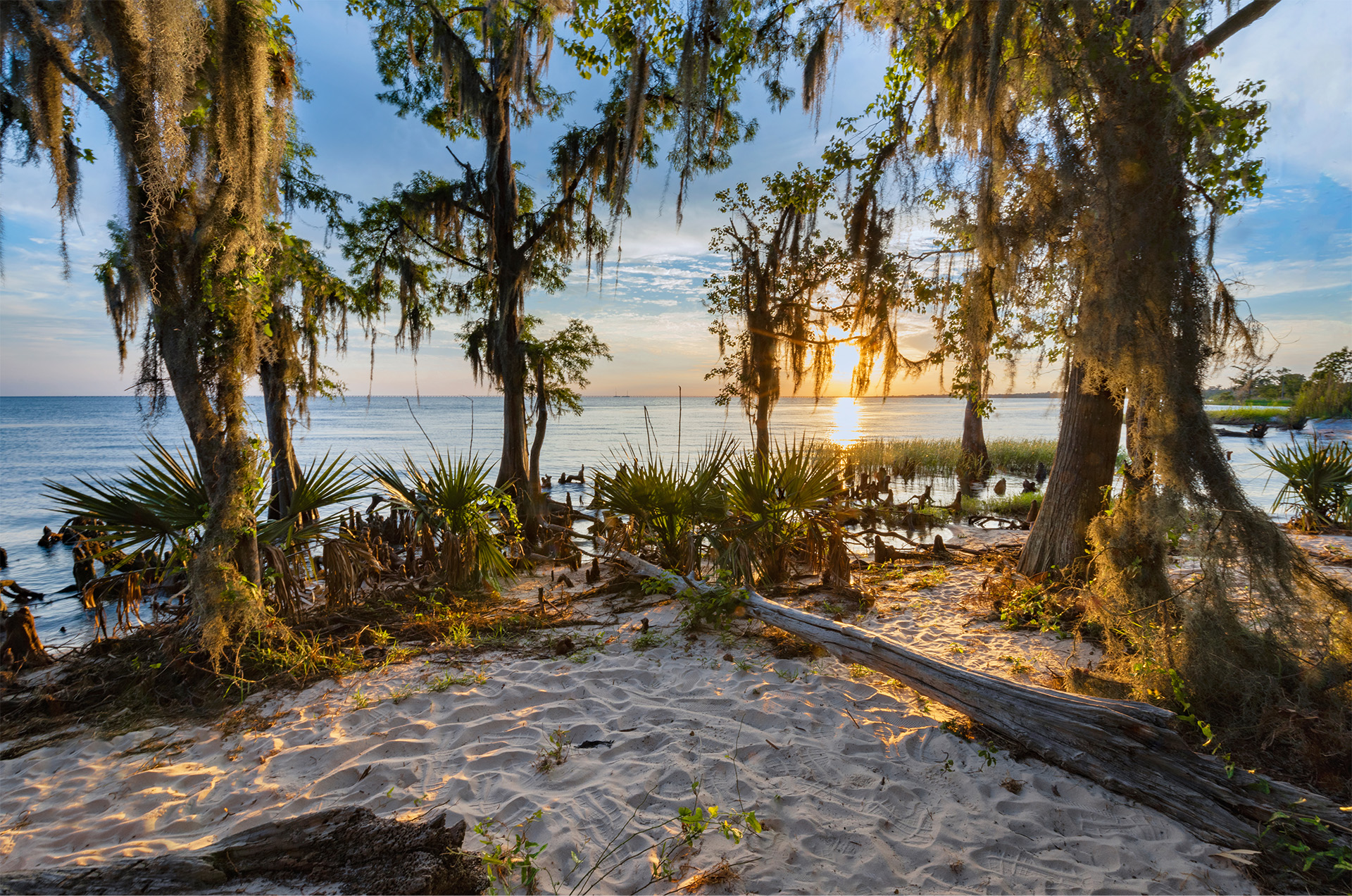 Louisiana coastline